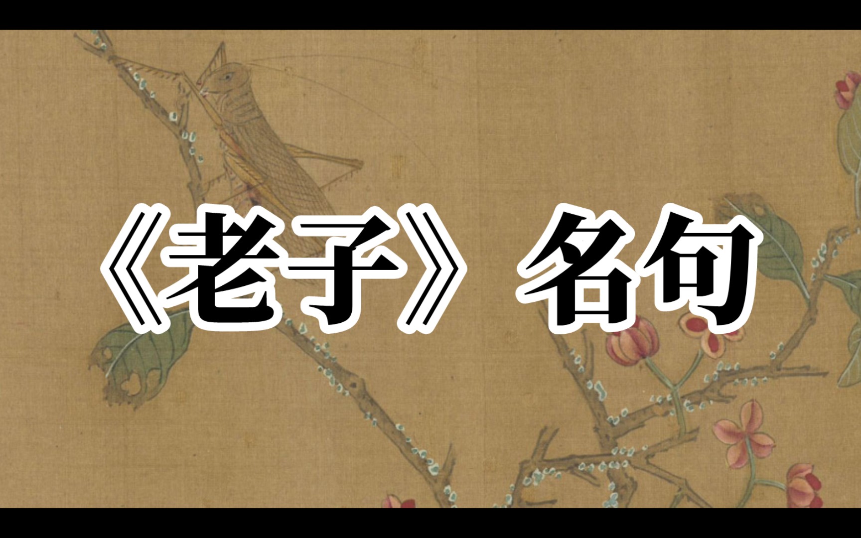 【古籍】人法地,地法天,天法道,道法自然.‖《老子》中的名句哔哩哔哩bilibili