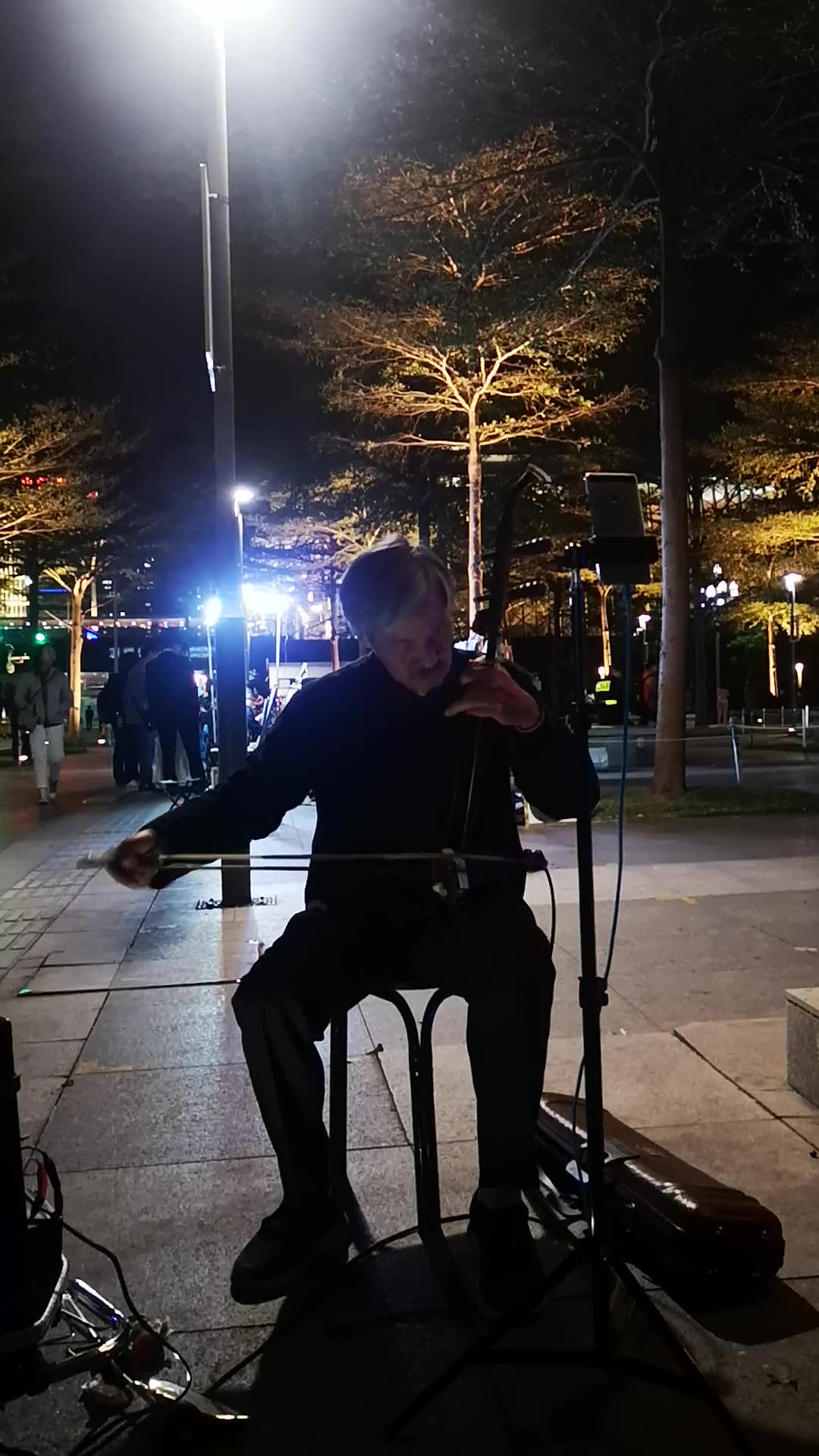 骆宏俊二胡独奏天空之城