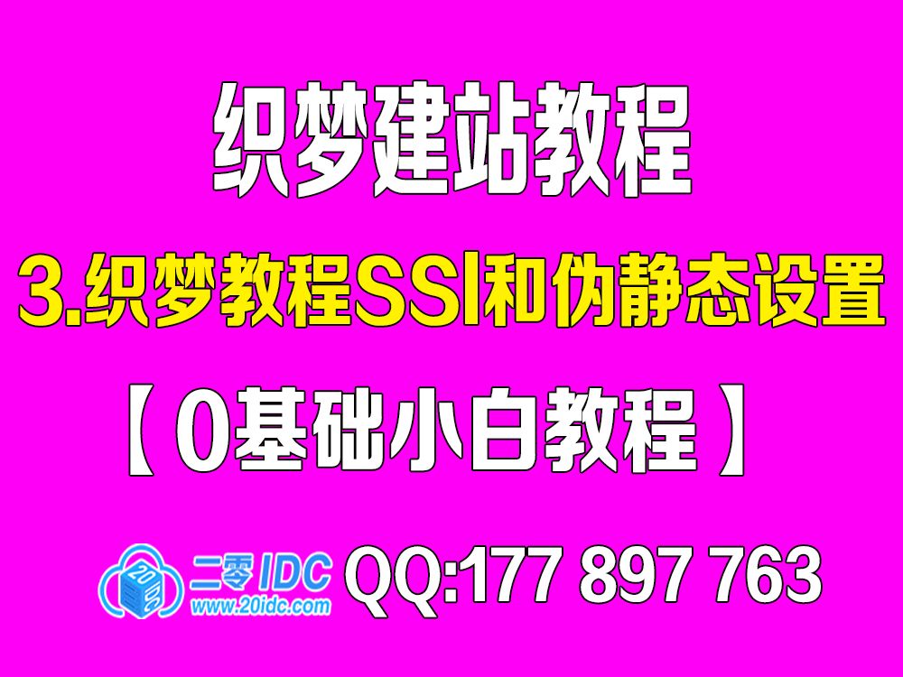 3.织梦教程SSl和伪静态的设置【0基础教程】哔哩哔哩bilibili