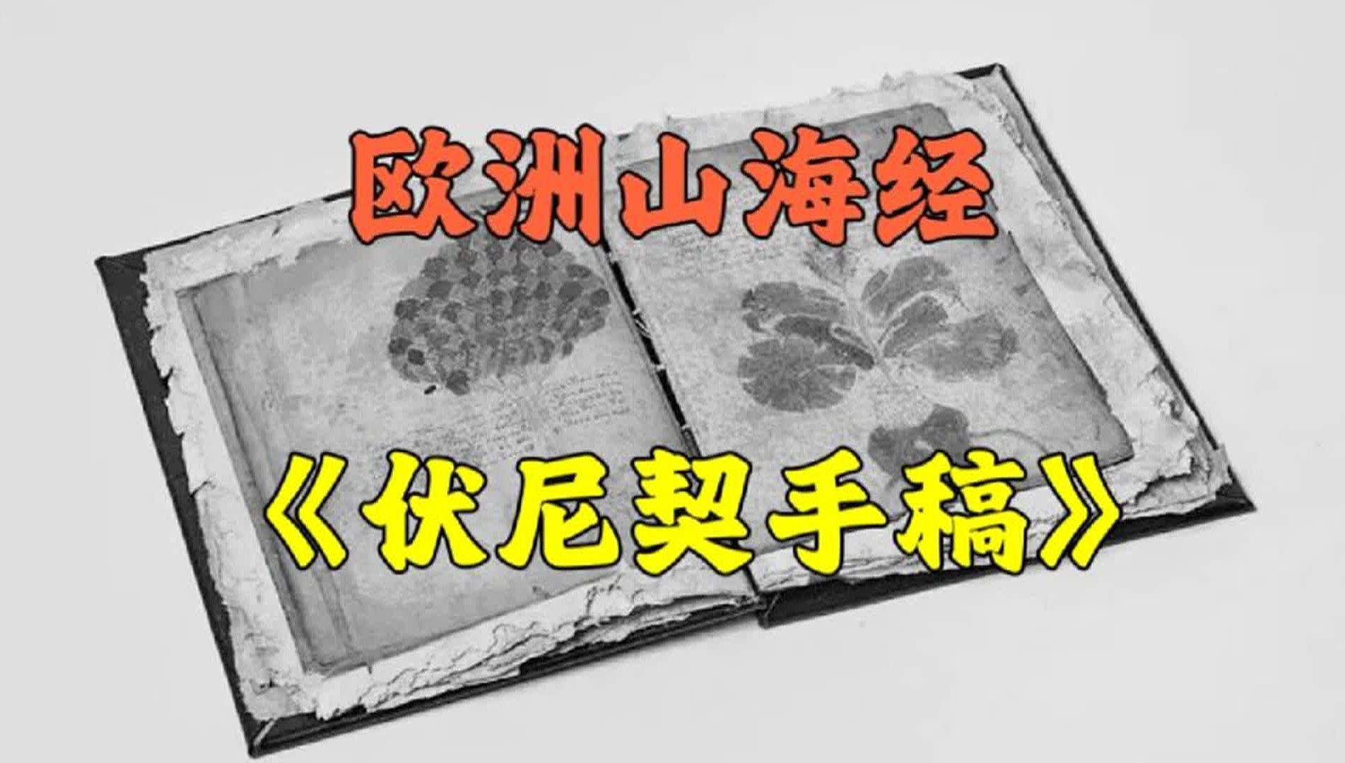 欧洲第一奇书,至今没人能懂—《伏尼契手稿》#未解之谜哔哩哔哩bilibili