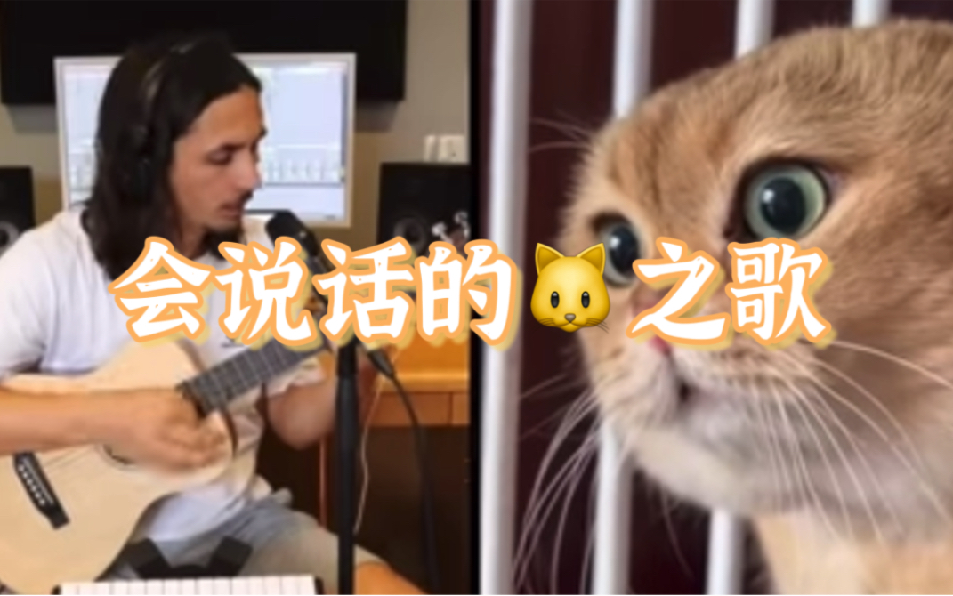 [图]【会说话的猫猫之歌】简直就是天籁啊 The Kiffness × Oh Long Johnson 2.0 (Talking Cat Song)