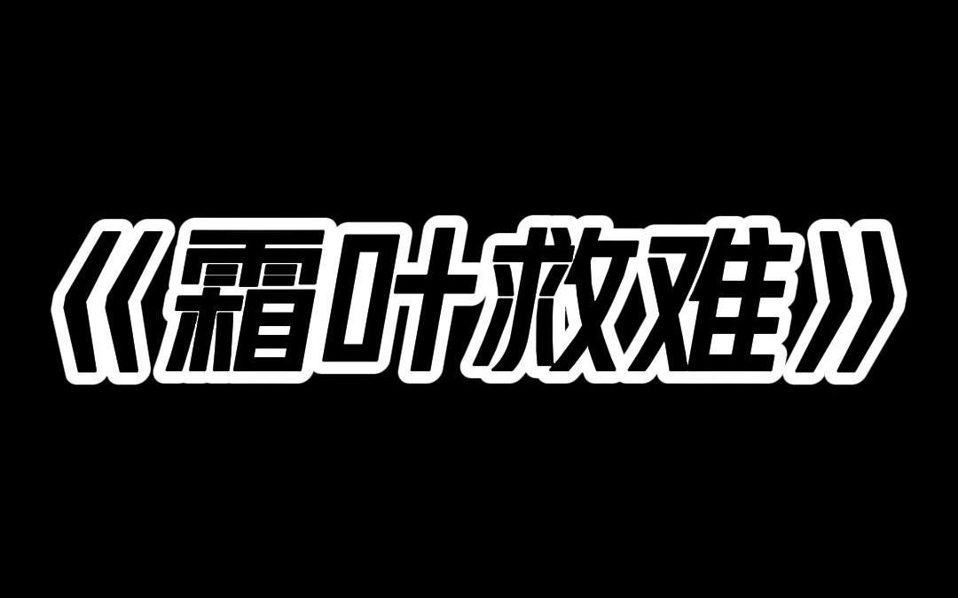 《霜叶救难》哔哩哔哩bilibili