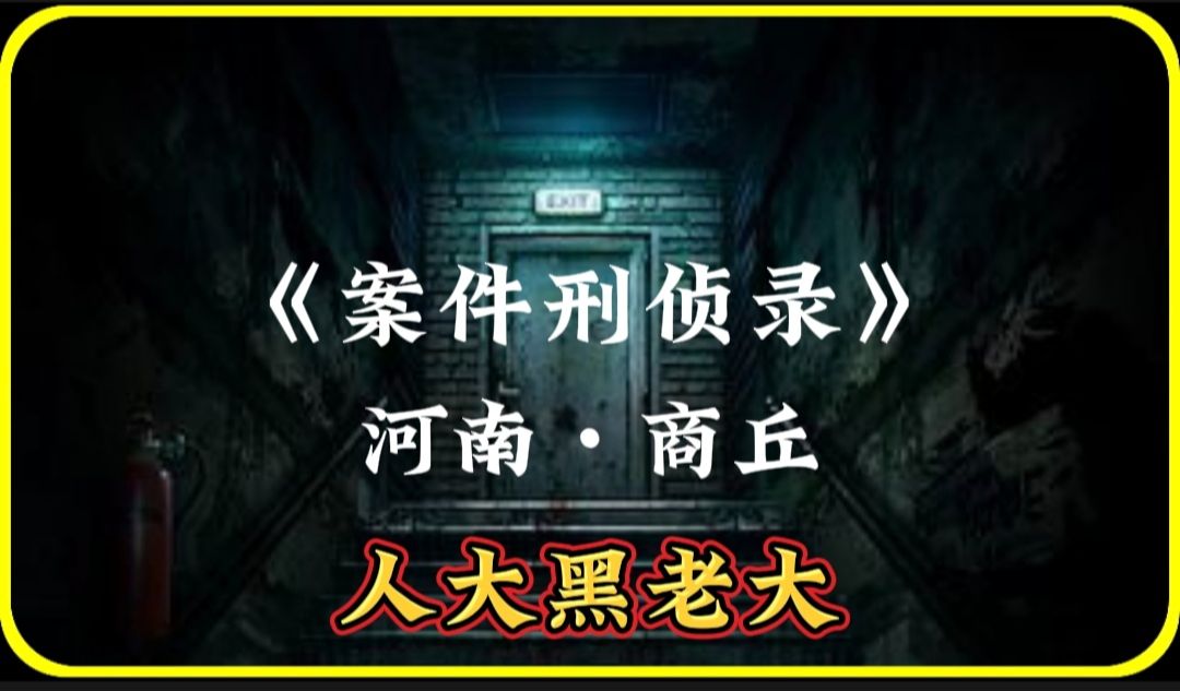 河南商丘人大正科级黑老大,就连当地的有关部门都不敢去管理?哔哩哔哩bilibili