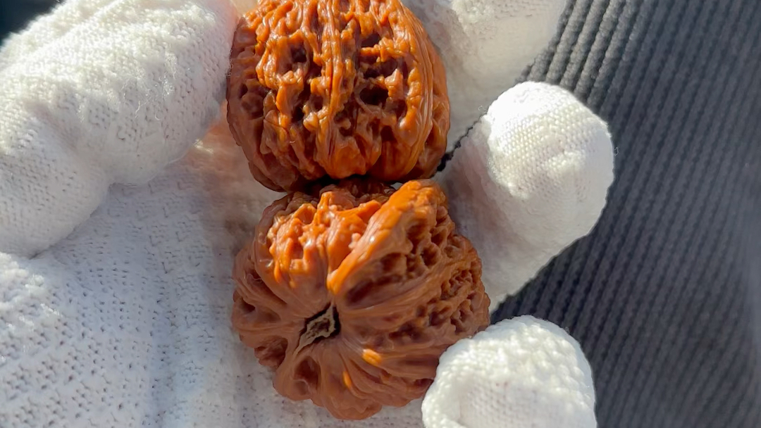 承德密纹狮子头核桃不打底手盘第四十二天记录