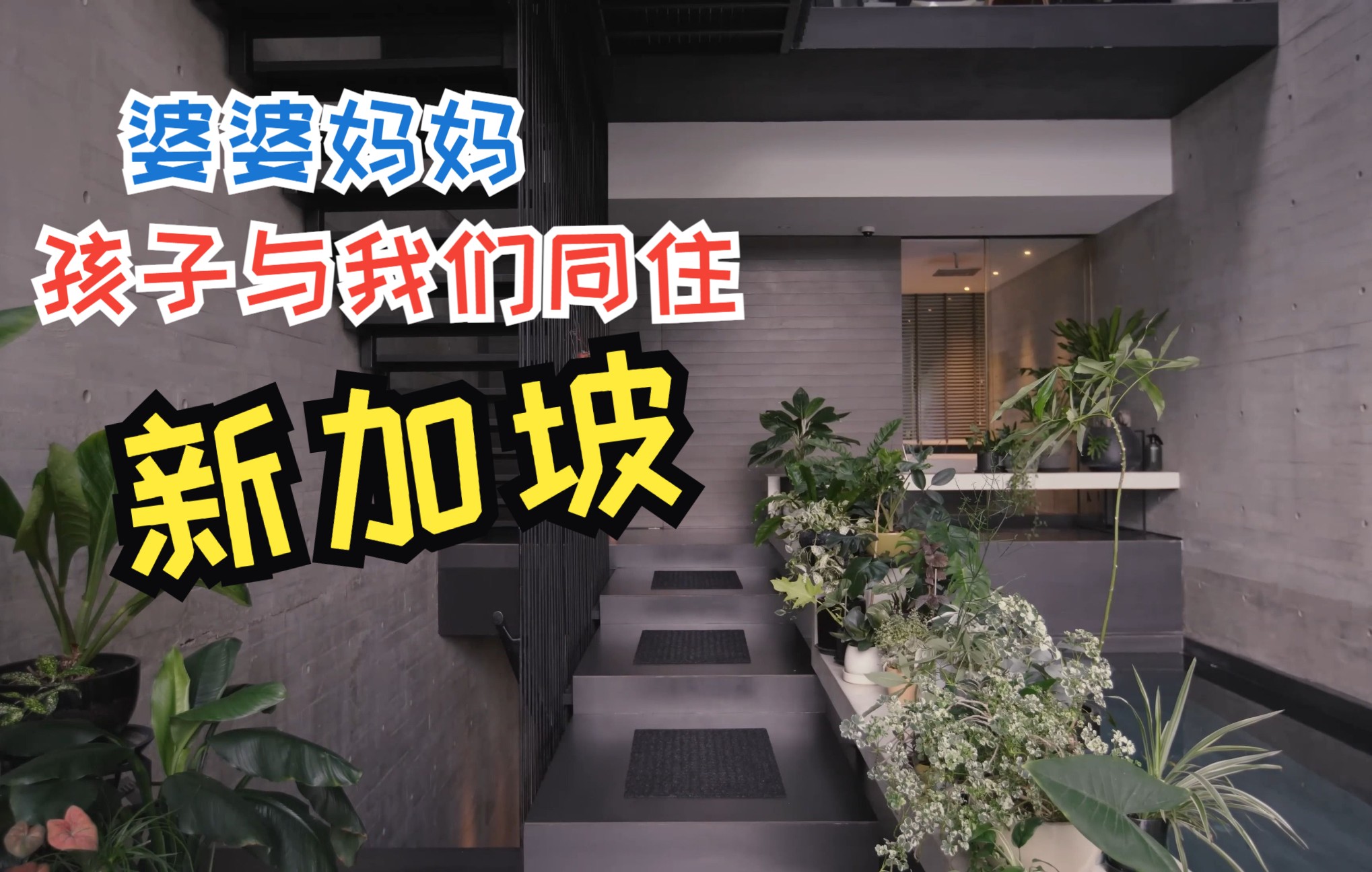 【自制中字】看豪宅|新加坡建筑设计师的家openhouse 全开放形式现代建筑哔哩哔哩bilibili