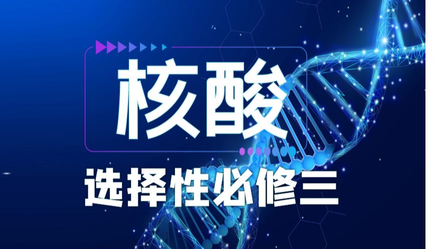 【选择性必修三】生物大分子核酸哔哩哔哩bilibili