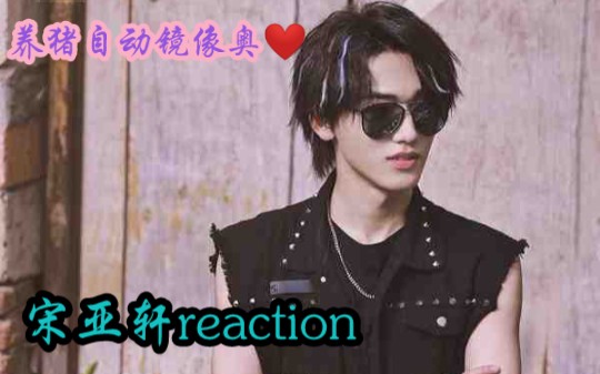 【宋亚轩reaction】宋亚轩*你做梦素材又来了+养猪第三期,不同的亚轩但都很好看奥❤️哔哩哔哩bilibili