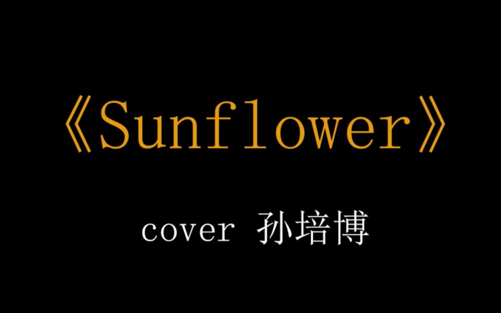 【指弹】“你知道太阳花的花语吗?”《Sunflower》翻弹哔哩哔哩bilibili