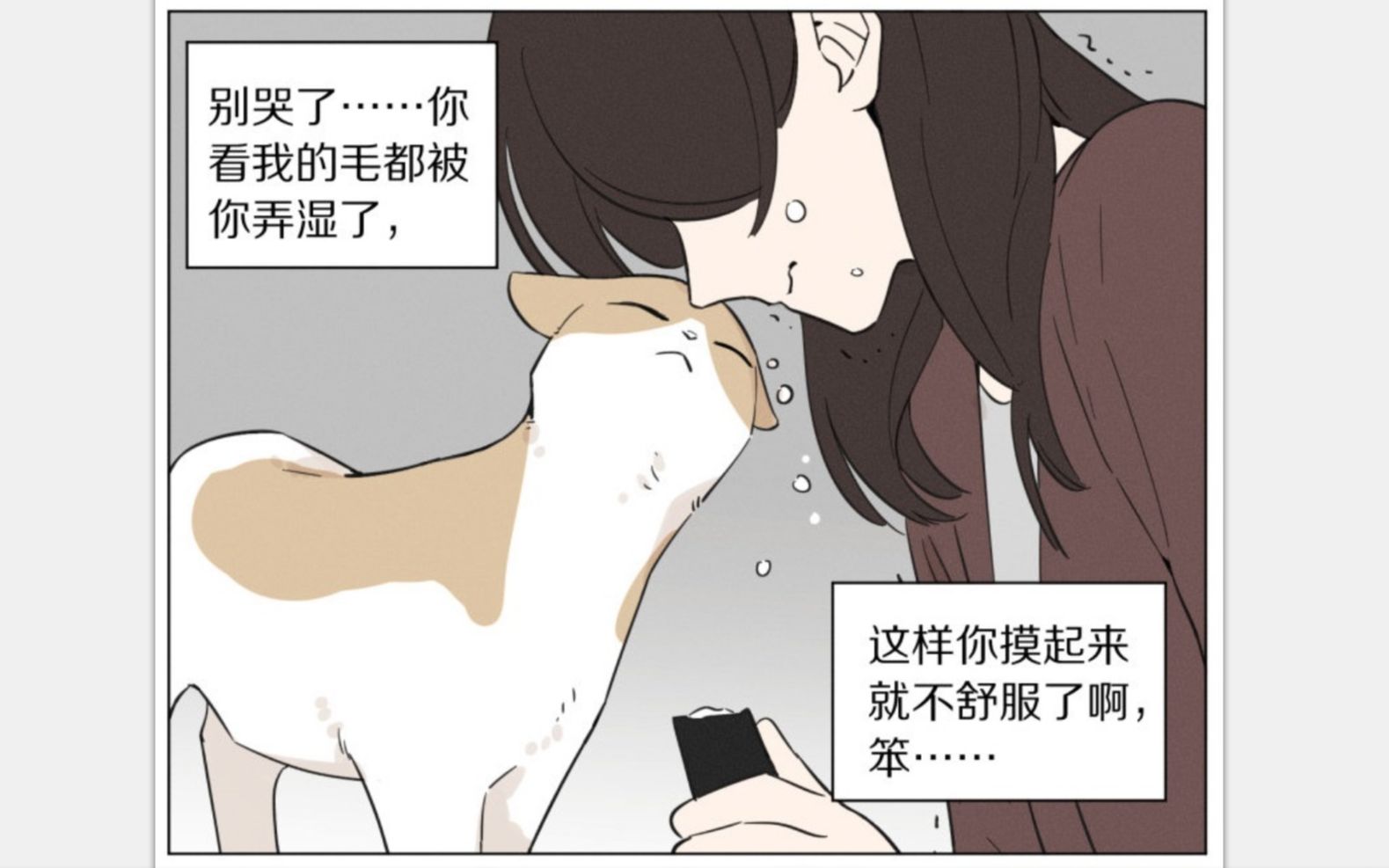 【麻尾】我是一只宠物猫哔哩哔哩bilibili