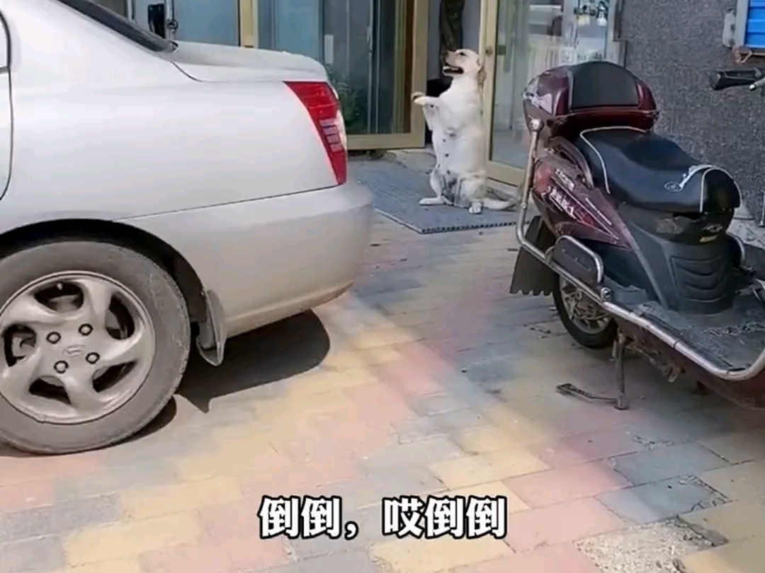 【小迪克爱吃瓜】最新视频已上线,快来围观!