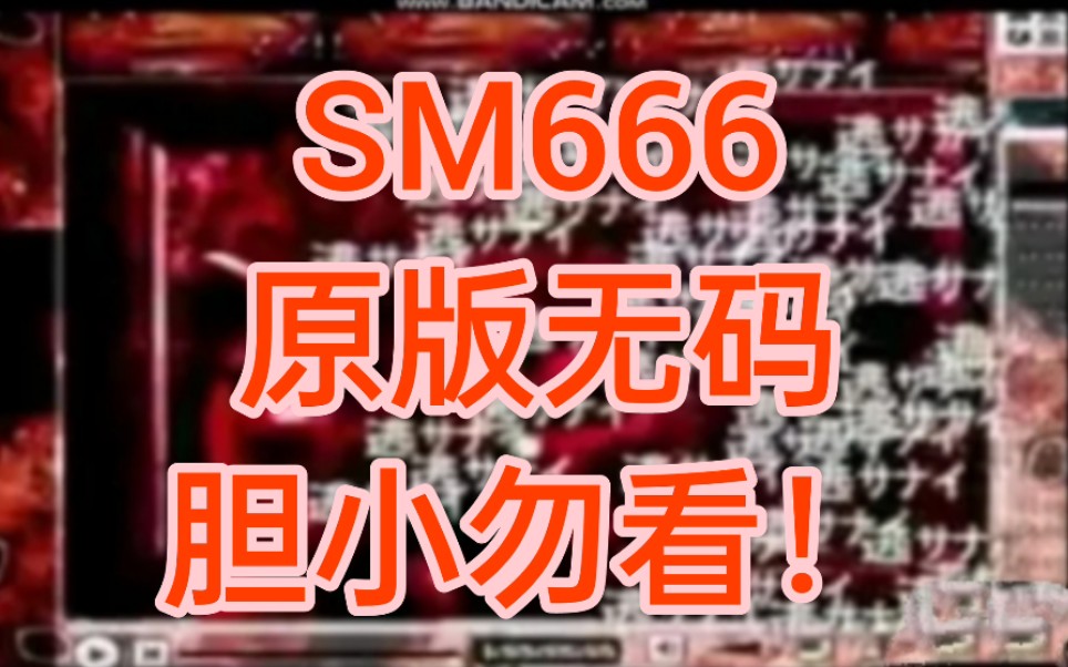 sm666原版无码哔哩哔哩bilibili