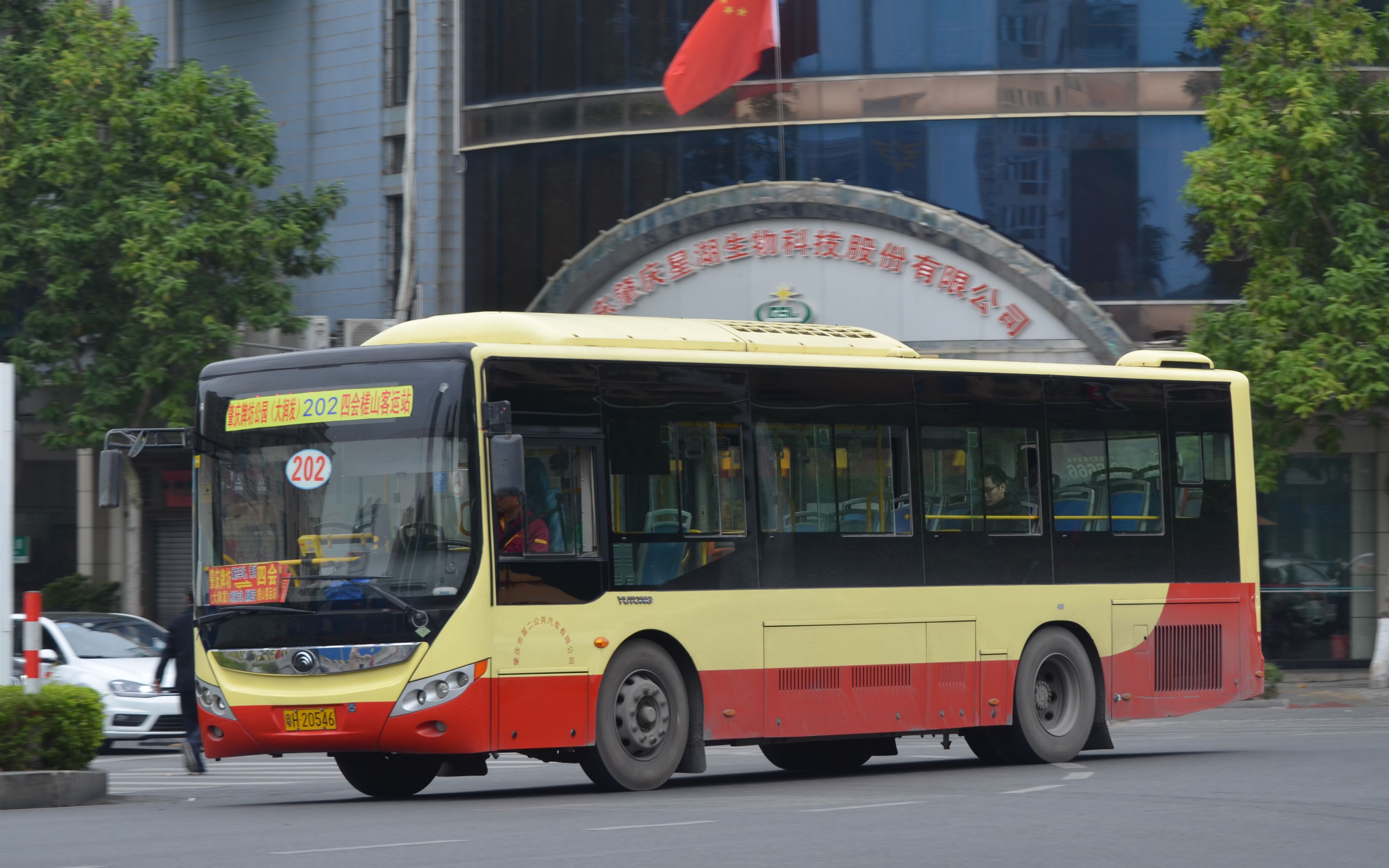 (原声原速)【肇庆城巴pov64】202肇庆牌坊公园-四会槎山客运站