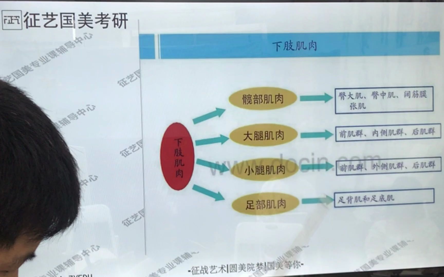 国美考研 | 下肢肌肉臀部肌肉哔哩哔哩bilibili