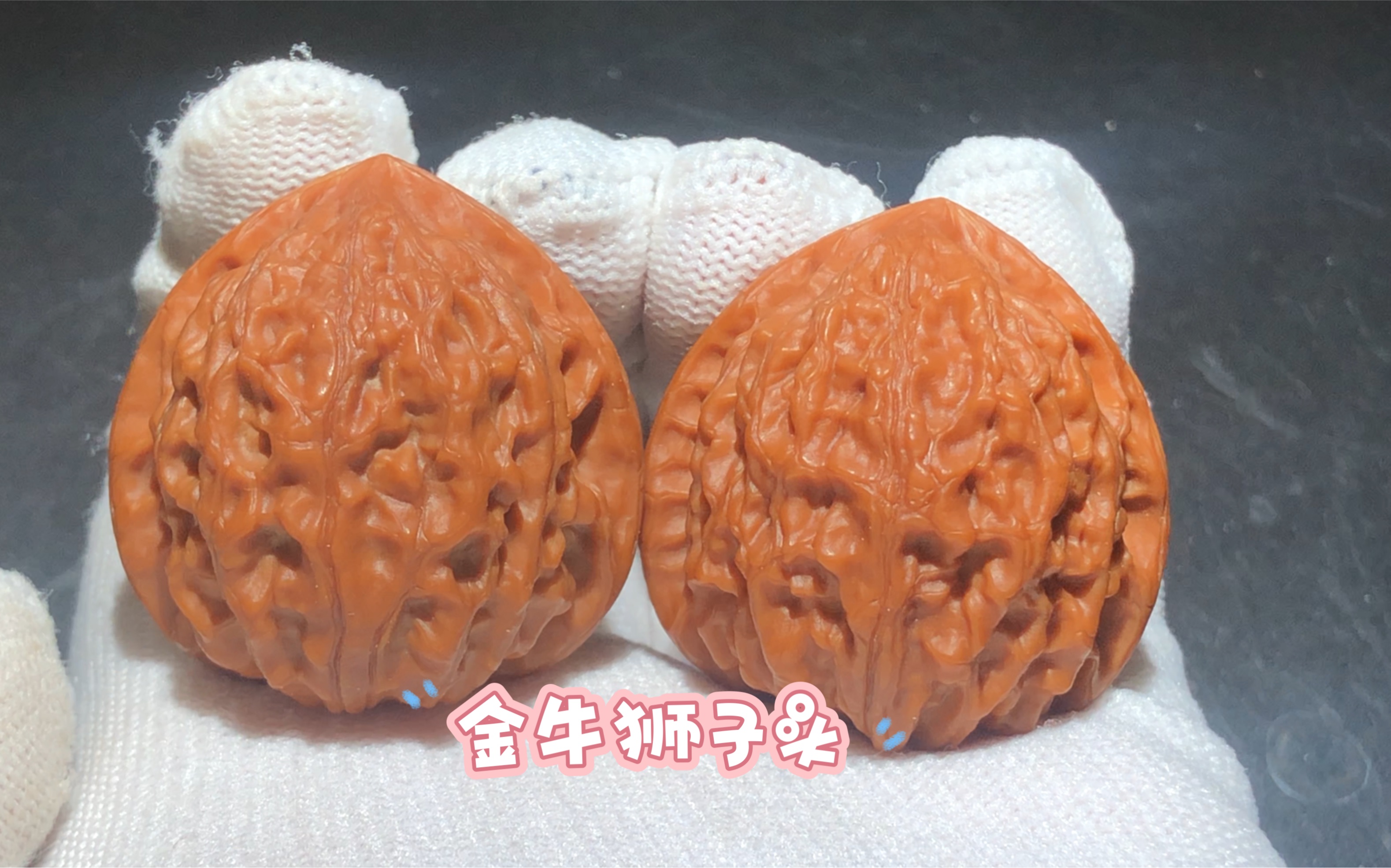 金牛狮子头,自盘