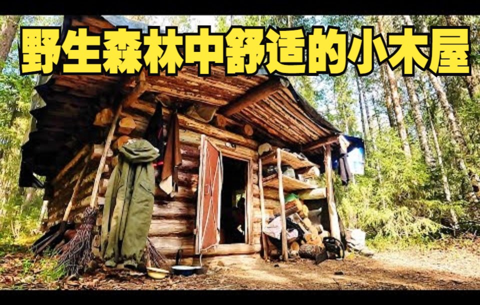 [图]【Forest Film: camping】野生森林中舒适的小木屋。野外生活