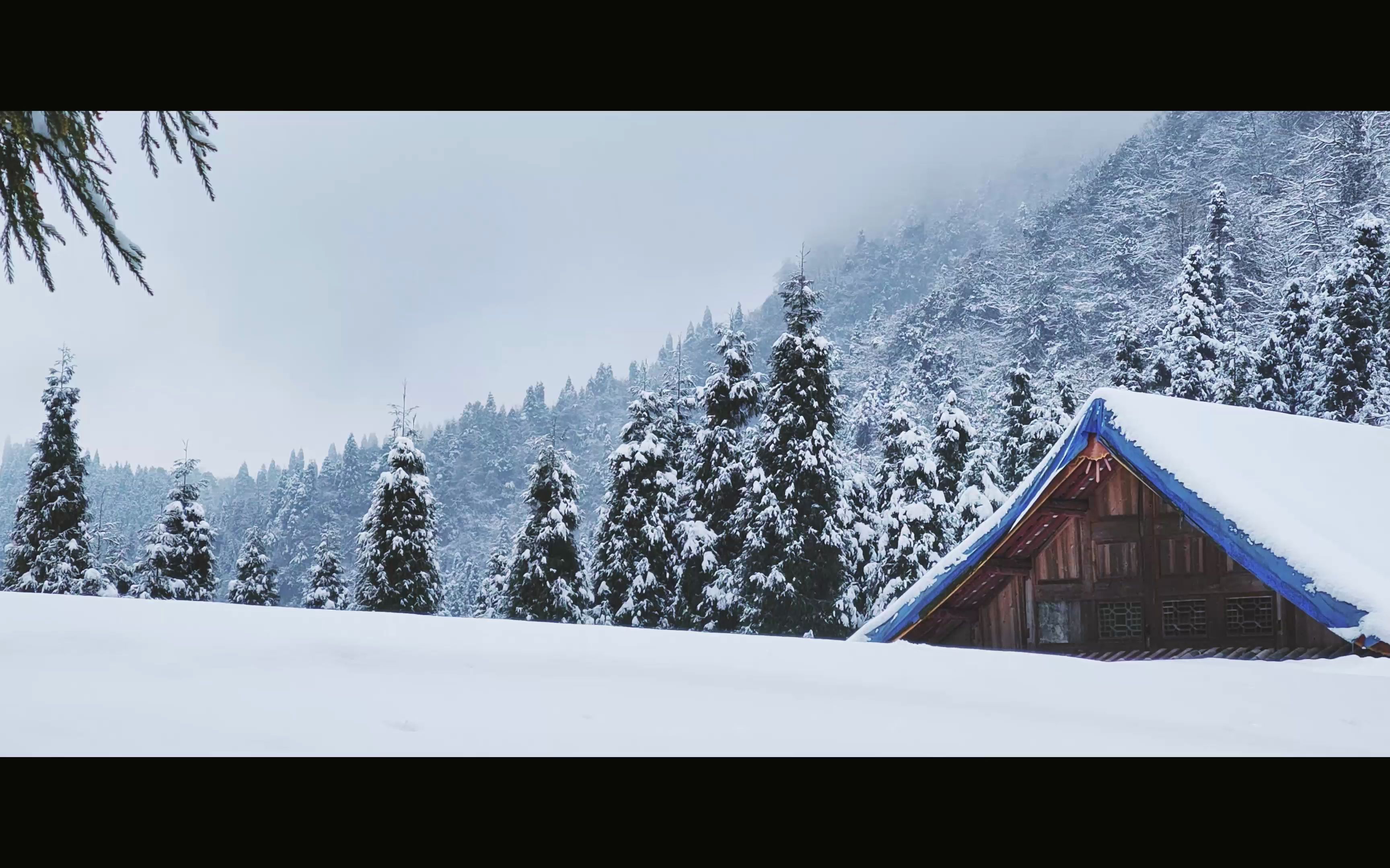 春节成都市彭州市九峰山赏雪旅行4k视频哔哩哔哩bilibili