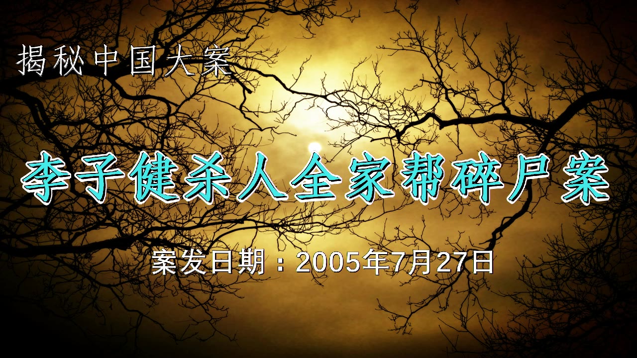 揭秘中国大案:2005李子健杀妻全家帮碎尸案,案发全程被儿子看见哔哩哔哩bilibili