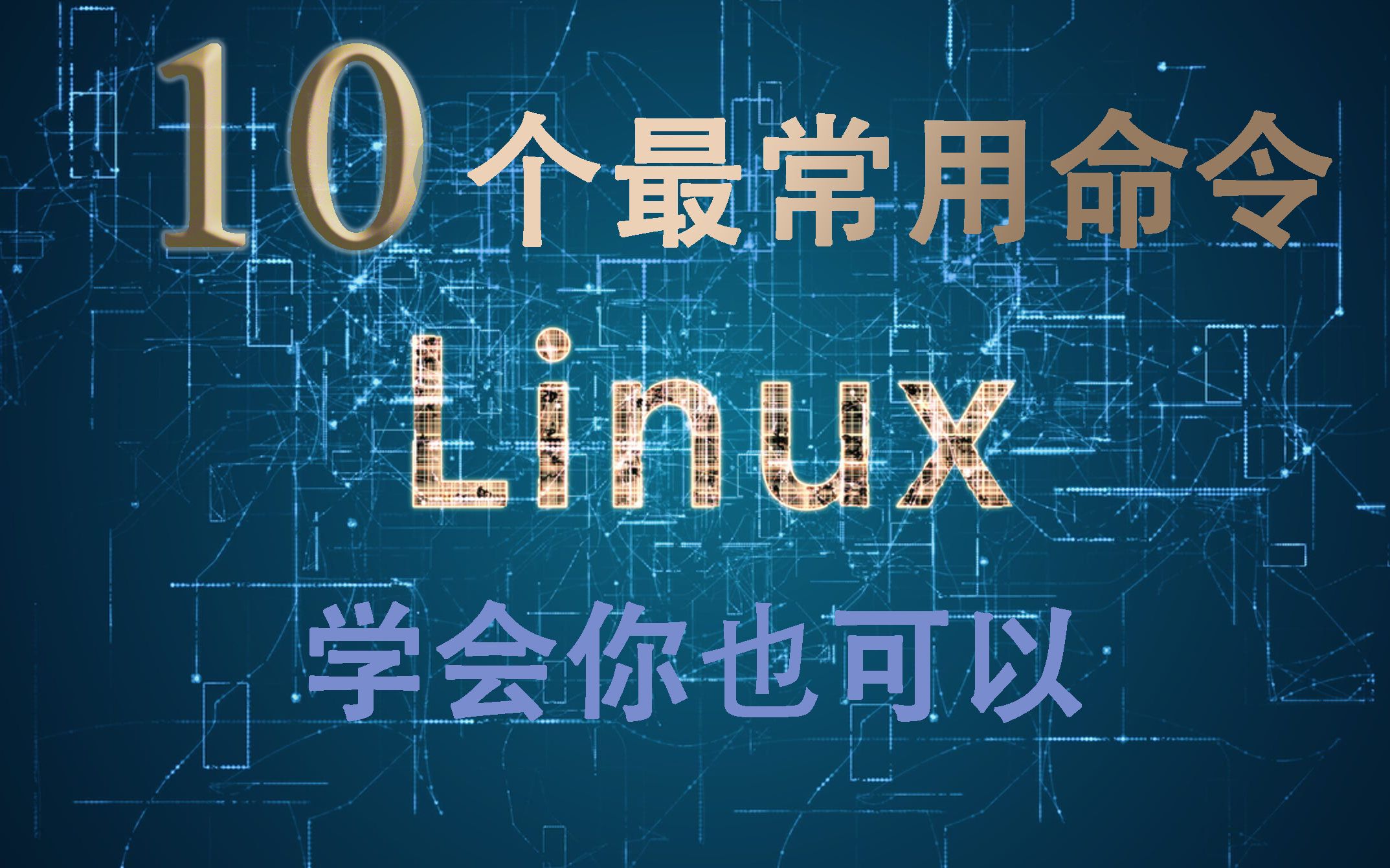 Linux最常用命令讲解(Linux系统入门/基础教学)哔哩哔哩bilibili