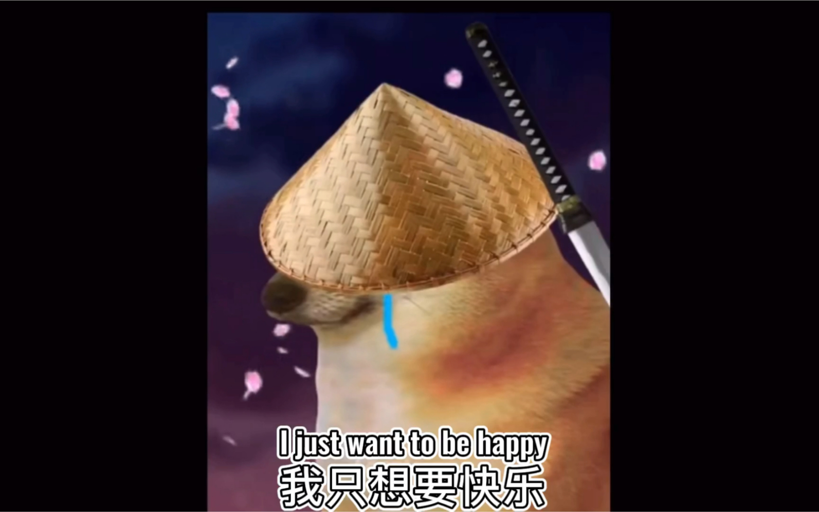 不想被骗的cheems