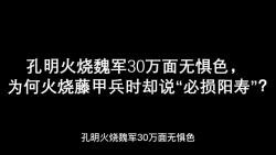 孔明火烧魏军30万面无惧色,为何火烧藤甲兵时却说“必损阳寿”?哔哩哔哩bilibili