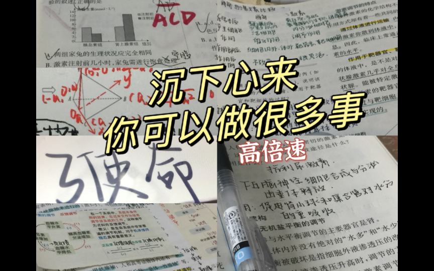 SA|沉下心来 我们可以做很多事|学习打卡|高倍速|调整心情迎来新一周!哔哩哔哩bilibili