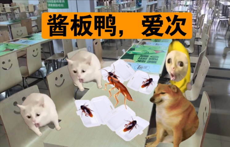 狗中狗,王中王,我的舍友吃蟑螂