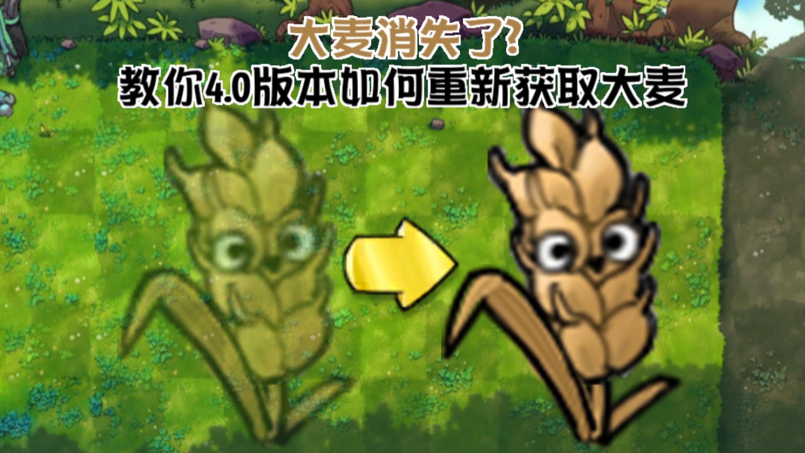 【大麦消失了？】教你4.0版本如何重新获取大麦