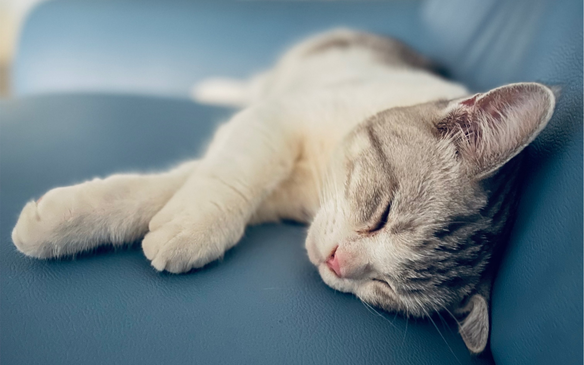 投食之迷之角度