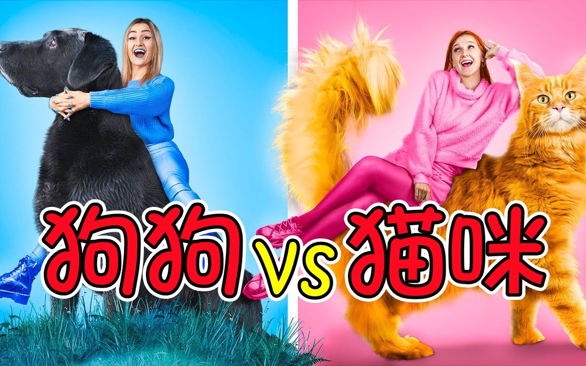 纪录片:宠物大作战,猫咪vs小狗,你更喜欢哪一个?