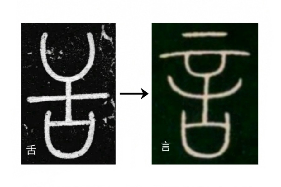 汉字图解:舌、言、讠哔哩哔哩bilibili