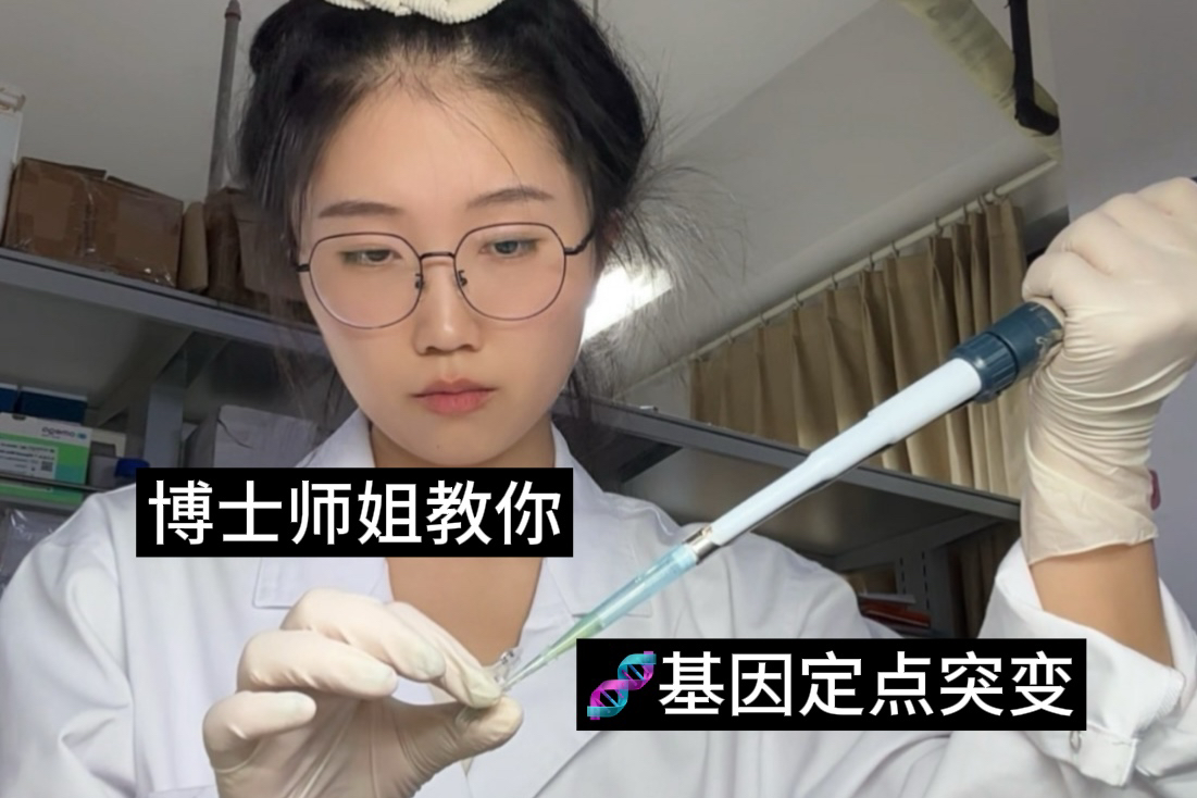 植物学实验|基因定点突变哔哩哔哩bilibili