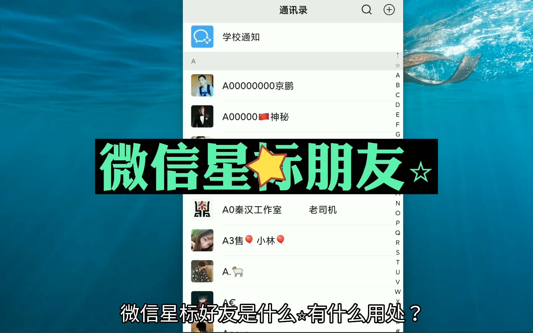 微信星标朋友是什么哔哩哔哩bilibili