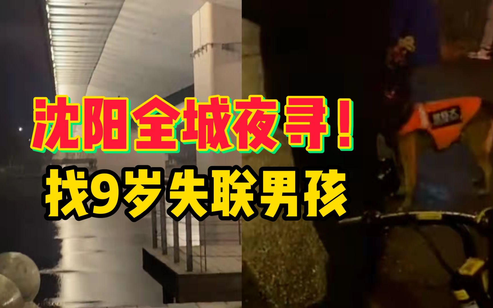 全城夜寻!沈阳市民用无人机、搜救犬找9岁失联男孩,母亲:不会放弃哔哩哔哩bilibili