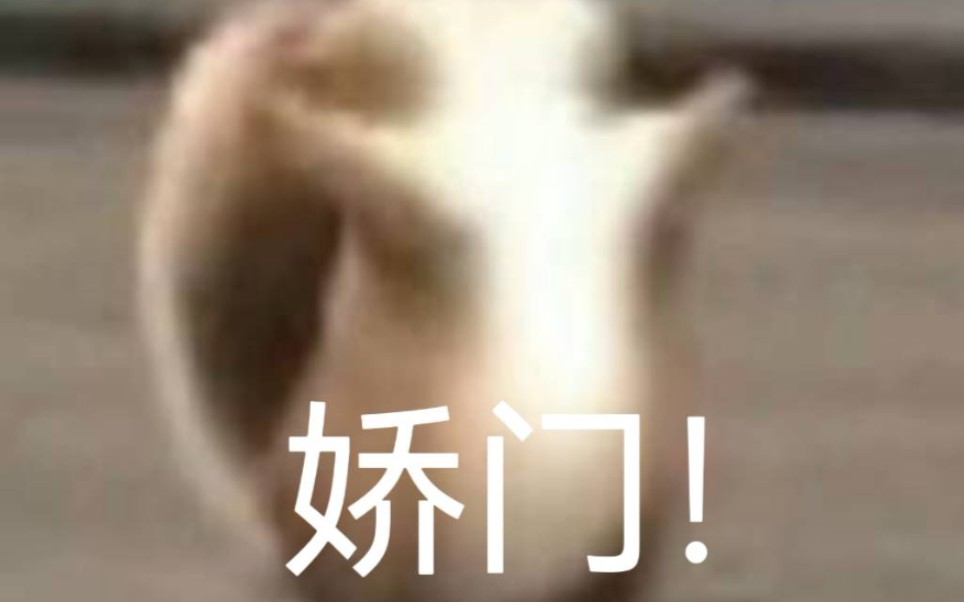 [图]【念九小游戏】啊啊啊啊！念九表妹娇娇代播！！！！