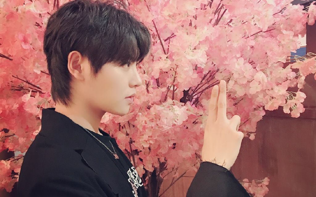 肖宇梁当帅哥遇到海尔兄弟的歌