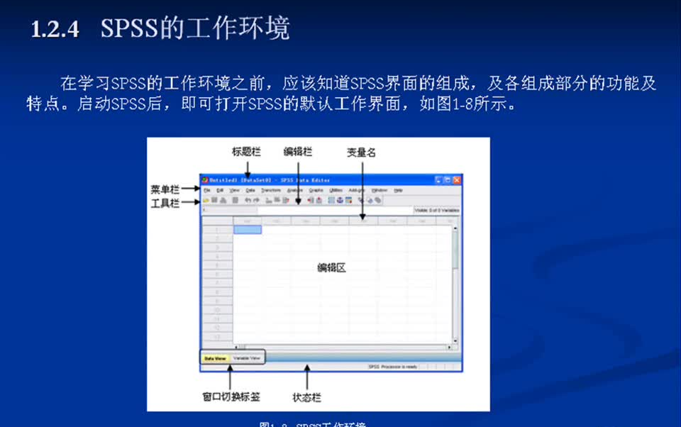 【SPSS】基础统计分析视频教程,快来get!!哔哩哔哩bilibili