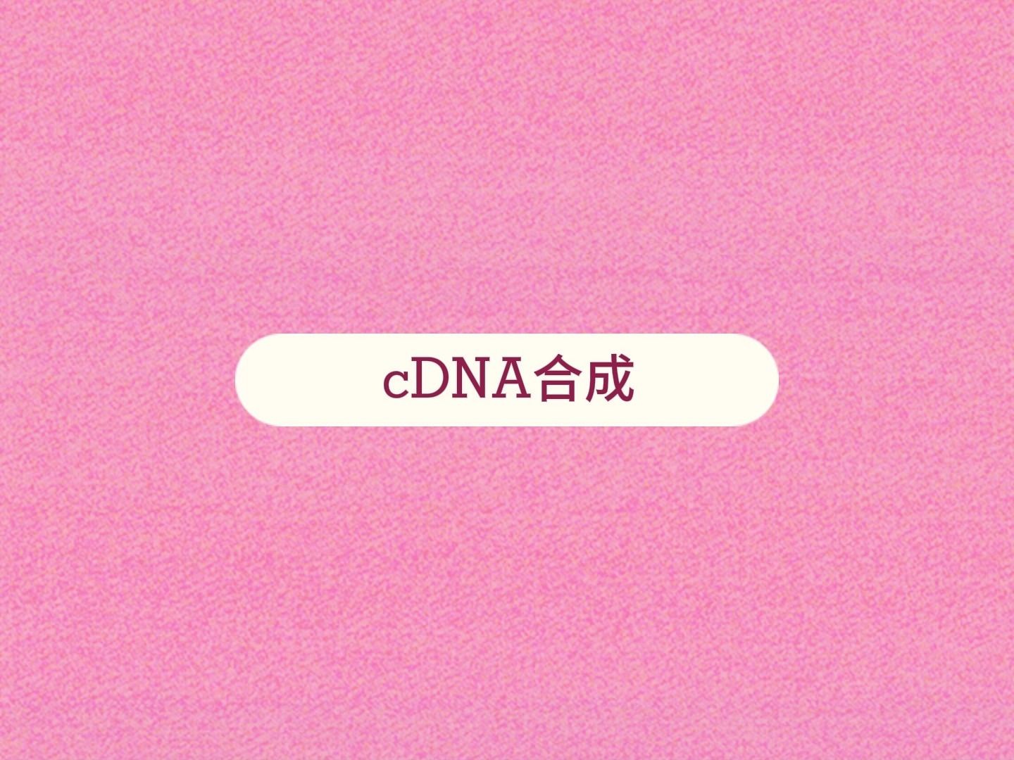 【生物化学辅助动画】cDNA合成哔哩哔哩bilibili