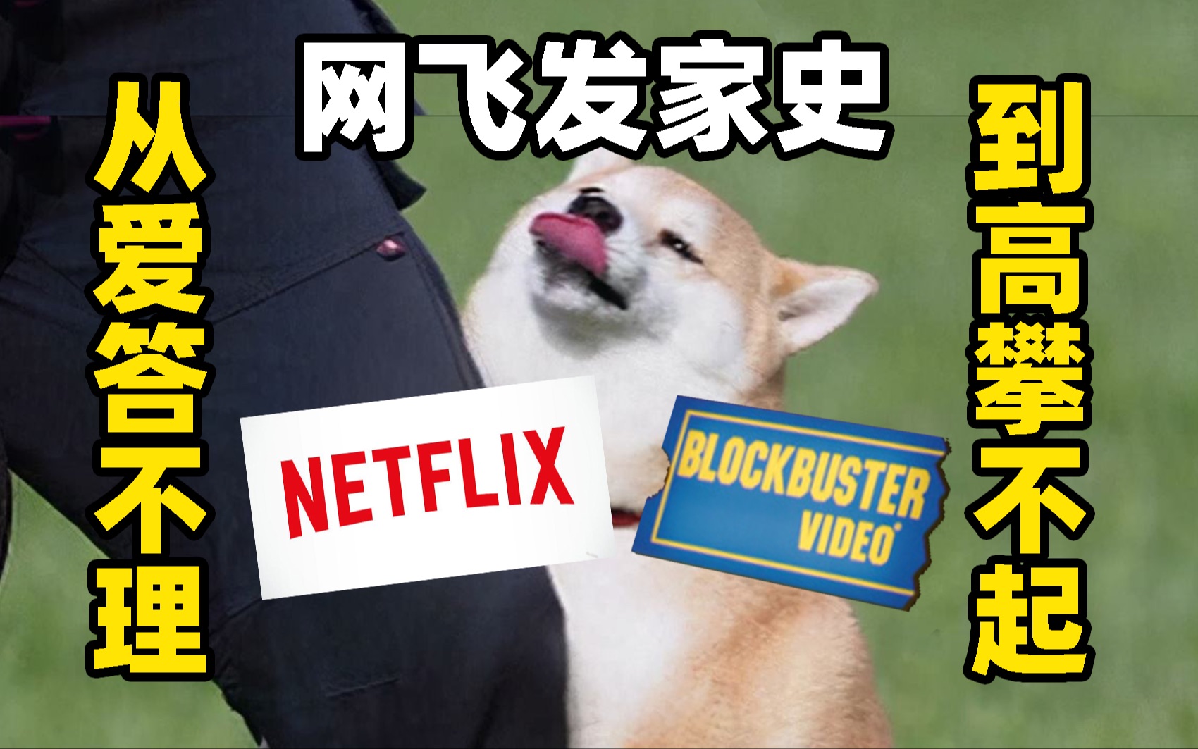 美剧大户Netflix网飞是美国的优酷还是B站?又或许……哔哩哔哩bilibili