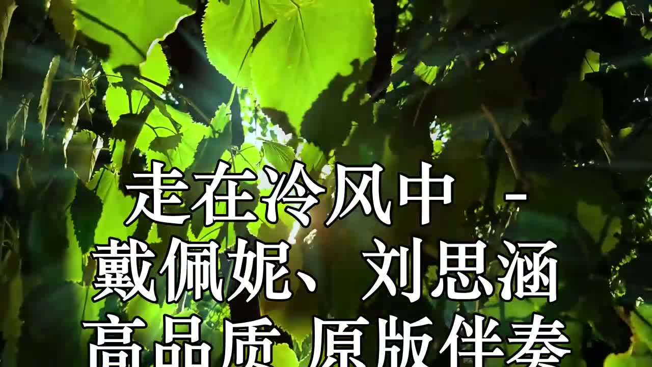 走在冷风中 (live) - 戴佩妮,刘思涵 高品质 原版伴奏(1)