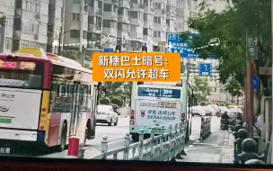 下载视频: 新穗巴士暗号：双闪允许超车