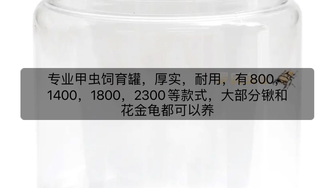 [图]新手入门甲虫介绍之饲育容器选择