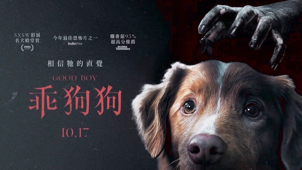 【超清完整】好狗狗(2025)家庭剧情-影迷追剧mm-影迷追剧mm-哔哩哔哩视频