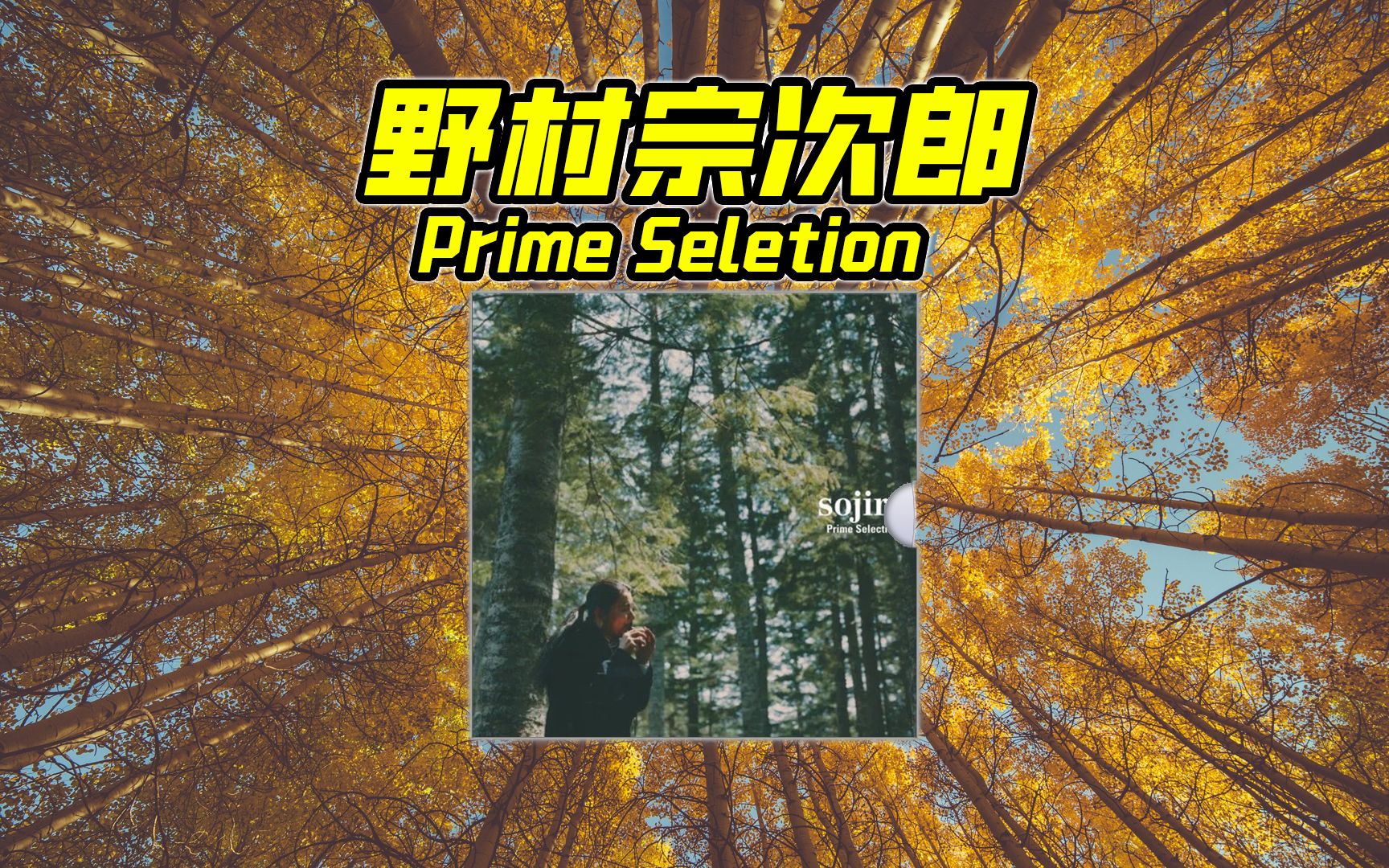 陶笛大师宗次郎高分专辑primeselection无损音质合集