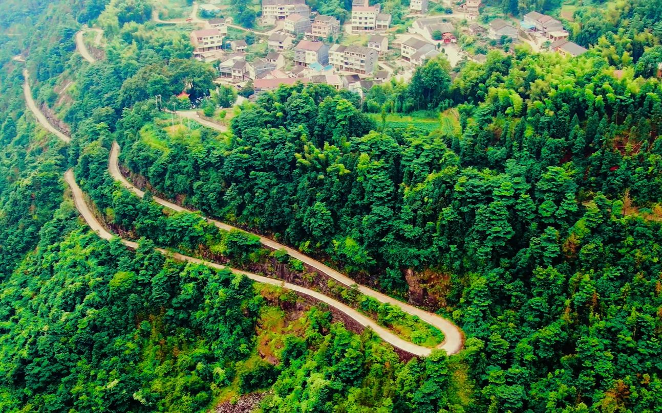 温州瑞安市一处被遗忘的瀑布高达300多米对面有个杨梅基地村