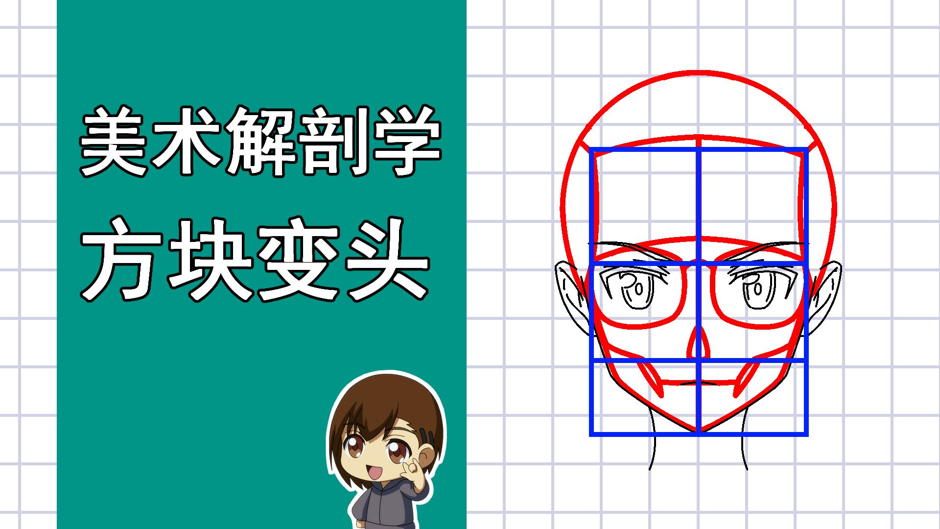 美术解剖学-11-方块变头的逻辑
