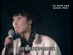 Descargar video: 1987郑华娟 王新莲 高清现场《鹭鸶》  苏来作词作曲