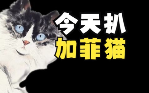 加菲猫的这3个缺点,养之前做好心理准备哔哩哔哩bilibili