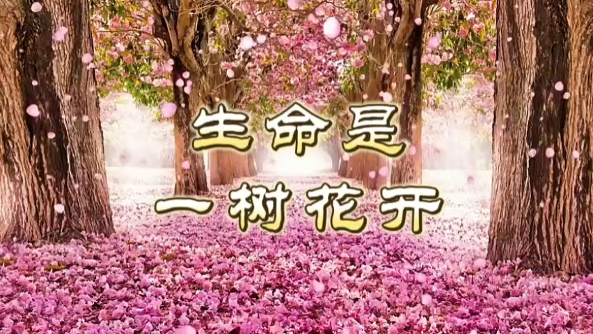 《生命是一樹花開》朗誦背景/純音樂