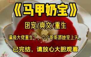 下载视频: 【甜宠爽文完结】满级大佬重生归来，六个哥哥将她宠上天……