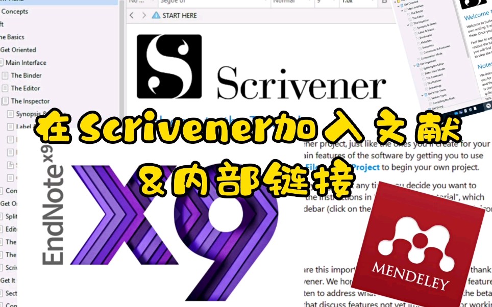 [大神都用Scrivener]论文神器[如何插入文献]EndNote Mendeley &Scrivener神奇的内部链接!8分钟学会!赶快点赞关注转发收藏!哔哩哔哩bilibili